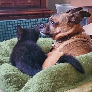 Meet your Posher, Rich